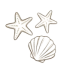conchis