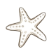 estrel